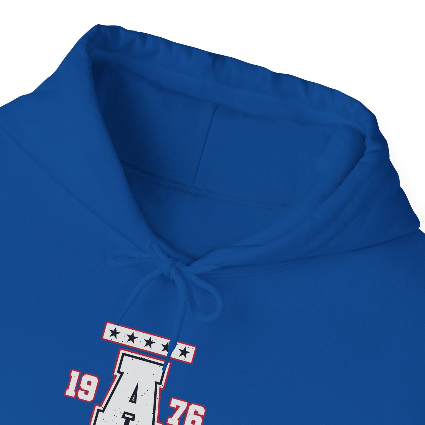 Victory : Arenky Premium Hoodie