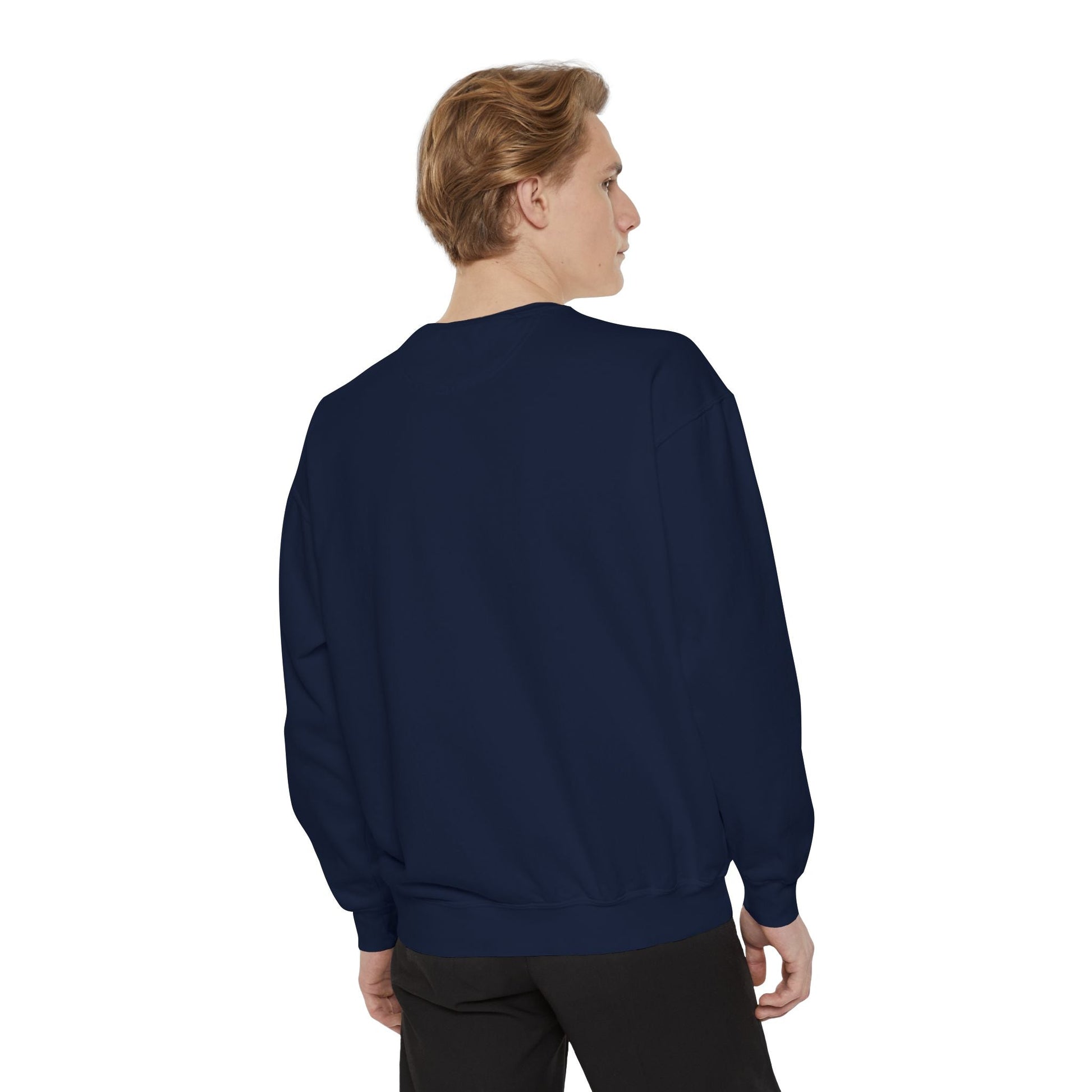 ARE : Arenky Premium Sweatshirt - Arenky